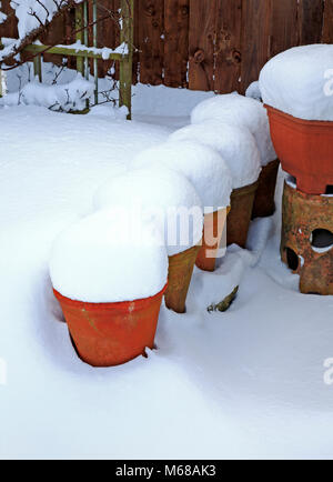 Une rangée de pots de fleurs surmontée par la neige dans un jardin urbain à Hellesdon, Norwich, Norfolk, Angleterre, Royaume-Uni, Europe. Banque D'Images