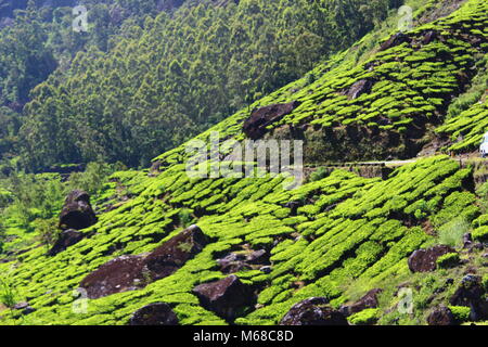 Ma visite au Kerala en 2016. Banque D'Images