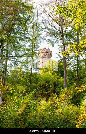 Le Château Greifenstein dans le bois à Bad Blankenburg Banque D'Images