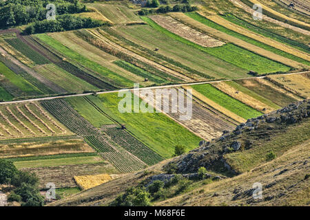 Les champs cultivés, les Abruzzes Banque D'Images