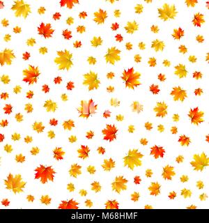 Patern transparente de feuilles d'érable sur fond blanc Illustration de Vecteur