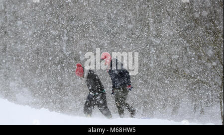 Les marcheurs dans la neige sur la Curragh Kildare en coopération, comme Emma, roulant dans la tempête de l'Atlantique, semble prêt à affronter la bête de l'est fait froid la Russie - de l'air généralisée à l'origine de nouvelles chutes de neige et températures amer. Banque D'Images