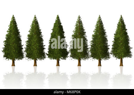 Rangée d'arbres de pins 3D Illustration isolé pour la conception graphique Banque D'Images