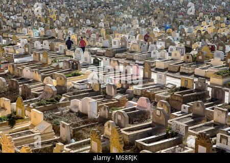 Cimetière, à côté de la Kasbah de l'Udayas, Rabat. Maroc Banque D'Images