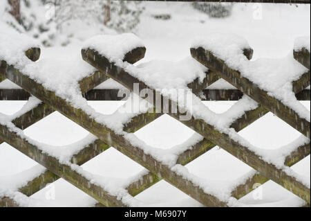 Lamelles en bois patiné qui se chevauchent de clôture châtaignier sillonné et recouvert de neige avec la chute des flocons Banque D'Images