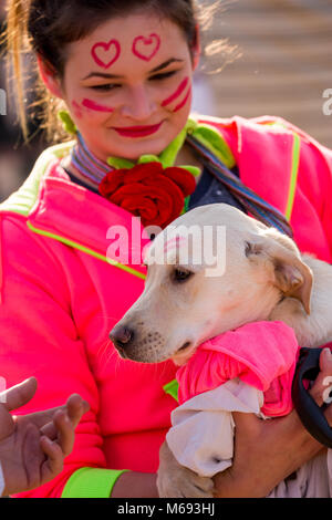 PERNIK, BULGARIE - 26 janvier 2018 : chien blanc avec le rouge à lèvres rouge baiser sur la tête repose calmement dans les bras de dame en robe rose avec le maquillage à l'annua Banque D'Images