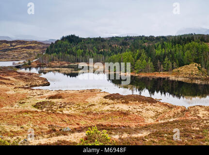 500 route de la côte nord :- un pont routier894 (sur la gauche) sur le Loch Duartmore, Sutherland, les Highlands écossais, Quinag tout juste visible au-dessus de la forêt sur la droite. Banque D'Images