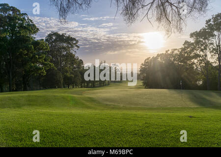 Court de Golf en Hunter Valley Banque D'Images