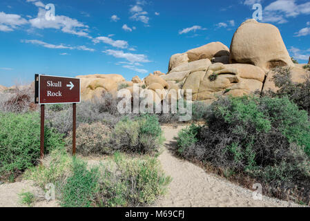 Skull Rock, le parc national Joshua Tree, désert de Mojave, Californie, USA Banque D'Images