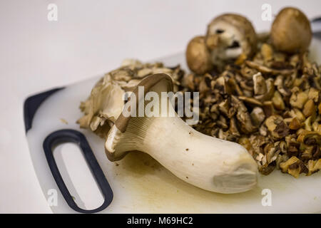 Oyster, shiitake et brown mushoorms sur une planche à découper blanc Banque D'Images