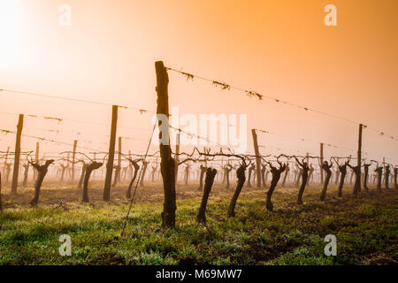 Paysage de Tréguier. Lannepax. Le Gers, nouveau Aquitaine, Midi Pyerenees. France Europe Banque D'Images