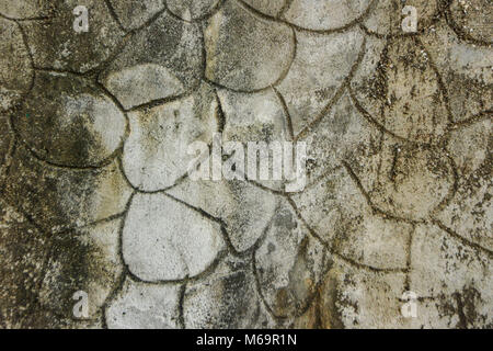 Dalles à motifs jaune dans la rue, vue d'en haut. Des briques en ciment, rez-de-chaussée en pierre carré de texture de fond. Dalle dalle en béton. Trottoirs avec footp humide Banque D'Images