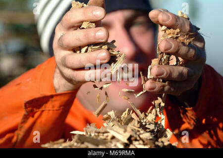 Les copeaux de bois 10 Banque D'Images