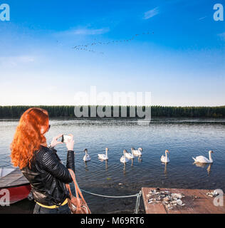 Jeune femme prend un potos de cygnes flottant sur le Danube à Novi Sad, Serbie. Banque D'Images