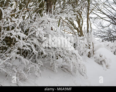 East Lothian, Ecosse, Royaume-Uni, 2 mars 2018. Météo France : la "bête de l'Est arctique' agrippe le paysage rural. Les amoncellements de neige sur certaines sections de la route sont plusieurs pieds de haut dans les lieux, créant un pays des merveilles d'hiver avec scène les traces de pneus du tracteur sur la route couverte de neige Banque D'Images