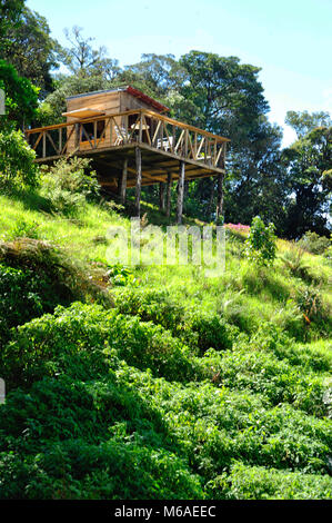 Cabane café sur Bosque Caricias, d''une réserve écologique, situé à Concepción de San Isidro de Heredia. Banque D'Images