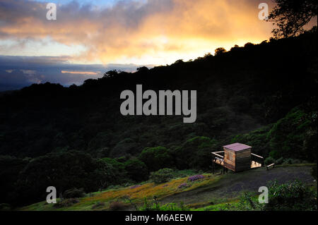 Cabane café sur Bosque Caricias, d''une réserve écologique, situé à Concepción de San Isidro de Heredia. Banque D'Images