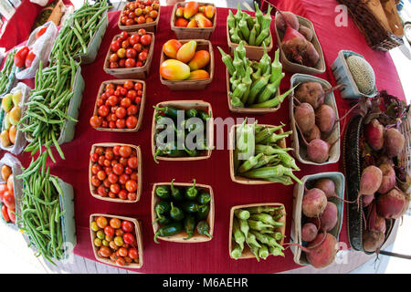 Vue fisheye de plusieurs différents types de légumes sur l'affichage à un marché agricole local. Banque D'Images