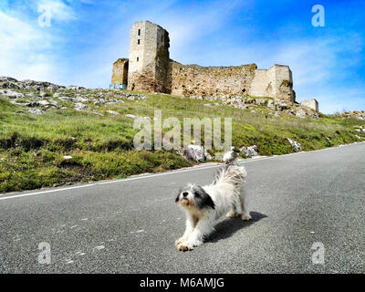 Enisala forteresse en Dobroudja, Roumanie, près de la mer Noire. Old otoman citadelle médiévale, maintenant une importante attraction touristique. Banque D'Images