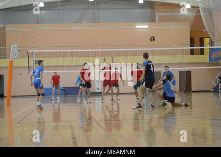 Kovrov, la Russie. 27 novembre, 2016. Dans Molodozhnyy les compétitions de volleyball sports complex Banque D'Images