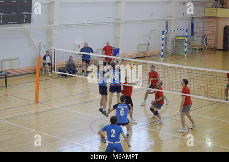 Kovrov, la Russie. 27 novembre, 2016. Dans Molodozhnyy les compétitions de volleyball sports complex Banque D'Images