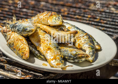 Sardines grillées, traditionnelle portugaise, Porto, Portugal Banque D'Images