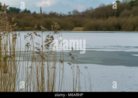 Neige sur le lac gelé à Hatchmere Réserve naturelle en Delamere Forest Park, au sud-est de Frodsham, Cheshire, Angleterre le dernier jour de février 2018 Banque D'Images