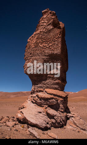 Moines du Pacana, San Pedro de Atacama, Désert d'Atacama, Chili Banque D'Images