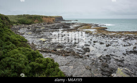 Forêt Pétrifiée sous la pluie à Curio Bay, île du Sud, Nouvelle-Zélande Banque D'Images