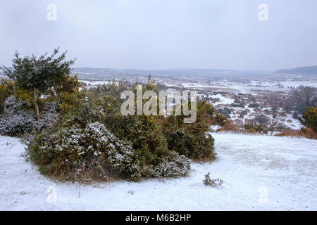 Météo France 1er mars 2018 Premier jour du printemps dans le New Forest Hampshire avec la neige de la bête de l'Est. Paul Chambers Crédit Banque D'Images