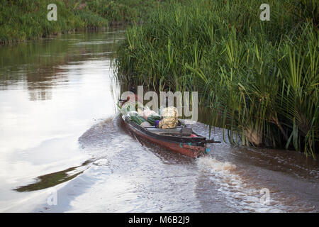 Les Indonésiens transportant des frondes de palmier de Nipa (Nypa fruticans) récoltées sur un bateau le long de la rivière Sekonyer dans la province centrale de Kalimantan, à Bornéo Banque D'Images