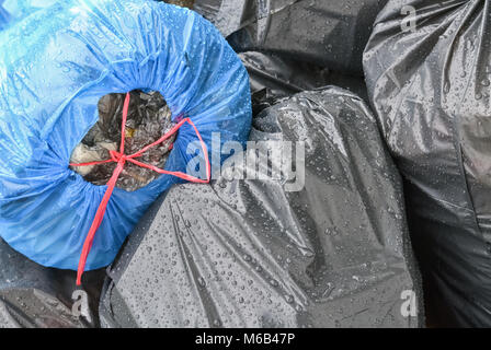 Libre d'une pile de sacs poubelle éliminés dans le junkyard Banque D'Images