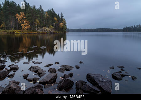 Autmn leafs et arbres au bord du lac avec des pierres en premier plan Banque D'Images