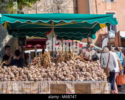L'ail sur les étals du marché Apt Vaucluse Provence-Alpes-Côte d'Azur France Banque D'Images