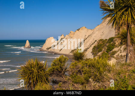 Voir de Cape Kidnappers au chou arbres devant, Hastings, Nouvelle-Zélande Banque D'Images