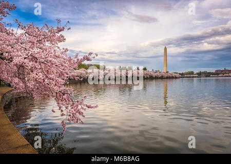 Washington DC, USA dans la saison du printemps. Banque D'Images