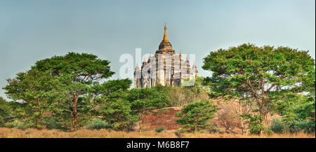 Thatbyinnyu Temple de Bagan. Le Myanmar. Panorama Banque D'Images