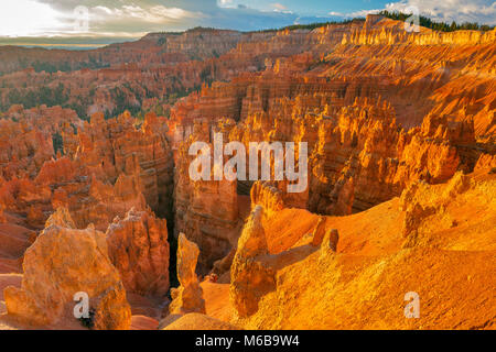 Lever du soleil, Hoodoos, Wall Street, le Parc National de Bryce Canyon, Utah Banque D'Images