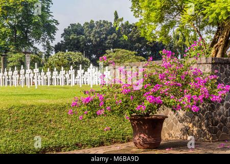 Champ d'honneur néerlandais Menteng Pulo à Jakarta, l'île de Java, Indo Banque D'Images