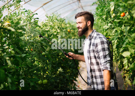 Jeune agriculteur protéger ses plantes avec des produits chimiques Banque D'Images