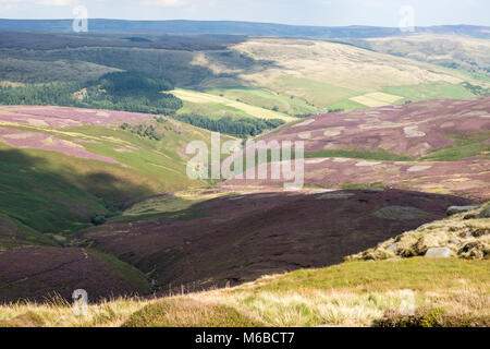 Vue à travers la lande d'Amérique du Derbyshire et Yorkshire du sud du bord du joint sur le bord nord Kinder Scout, Derbyshire Peak District, England, UK Banque D'Images