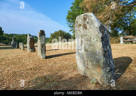 Photos et images de l'âge du Cuivre préhistoriques anthropomorphes proto standing stone statue Menhirs dans la Biru 'e archaeolological Localita Golfo di site, Sorgono, Banque D'Images
