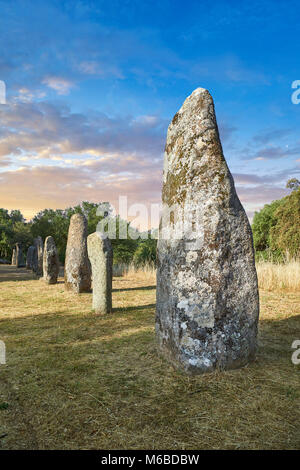 Photos et images de l'âge du Cuivre préhistoriques anthropomorphes proto standing stone statue Menhirs dans la Biru 'e archaeolological Localita Golfo di site, Sorgono, Banque D'Images