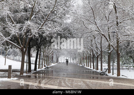 Homme seul marche dans le parc pendant une tempête de neige inhabituelle à Terrassa, Espagne. Banque D'Images