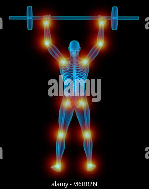 Très détaillé et précis sur le plan médical 3D Illustration d'un homme translucide la levée de poids Banque D'Images