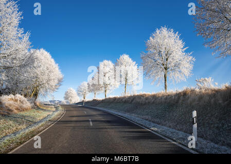 Pays vide route bordée d'arbres avec de la gelée blanche en poudre dans un paysage d'hiver sur un jour froid et ensoleillé avec ciel bleu, Rhénanie-Palatinat Banque D'Images