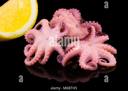 Poulpe bébé avec citron sur fond noir. Banque D'Images