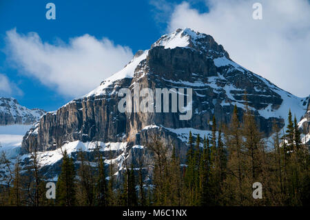 Les pics de Wenkchemna Larch Valley Trail, Banff National Park, Alberta, Canada Banque D'Images