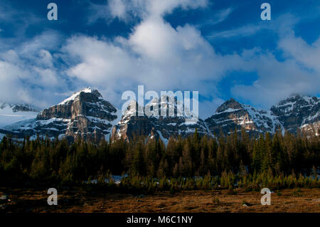 Les pics de Wenkchemna Vallée Larch, Banff National Park, Alberta, Canada Banque D'Images