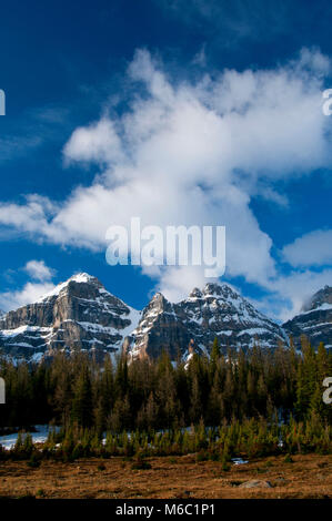 Les pics de Wenkchemna Vallée Larch, Banff National Park, Alberta, Canada Banque D'Images